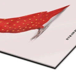 Strawbirdy Jonas Loose Galleritryk 20 X 30 Cm Billedramme -POSTERLOUNGE Salg 737408 gallery print empCorner l