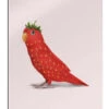 Strawbirdy Jonas Loose Galleritryk 20 X 30 Cm Billedramme -POSTERLOUNGE Salg 737408 gallery print l