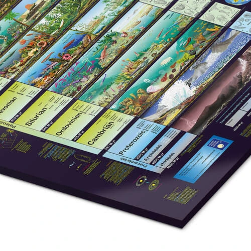 Livet På Jorden (engelsk) Planet Poster Editions Akrylbillede 30 X 40 Cm Billedramme 5 Livet På Jorden (engelsk) Planet Poster Editions Akrylbillede 30 X 40 Cm Billedramme - Billede 3