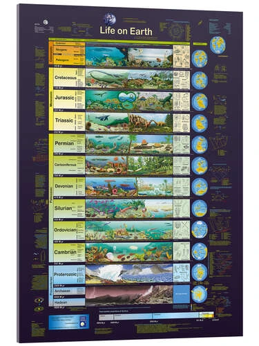 Livet På Jorden (engelsk) Planet Poster Editions Akrylbillede 30 X 40 Cm Billedramme 3 Livet På Jorden (engelsk) Planet Poster Editions Akrylbillede 30 X 40 Cm Billedramme