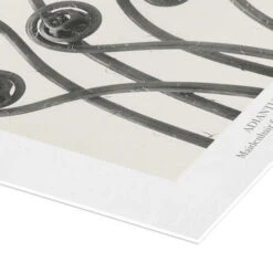 Maidenhair Fern Karl Blossfeldt Plakat 30 X 40 Cm Billedramme -POSTERLOUNGE Salg 739872 poster empCorner l