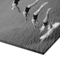The Beauty Of Diving Greetje Van Son Akrylbillede 20 X 30 Cm Billedramme -POSTERLOUNGE Salg 740400 acrylic glass empCorner l