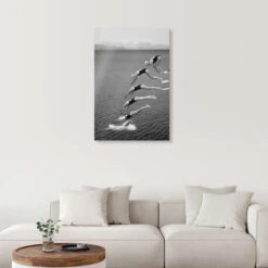 The Beauty Of Diving Greetje Van Son Akrylbillede 20 X 30 Cm Billedramme -POSTERLOUNGE Salg 740400 acrylic glass room black and white l