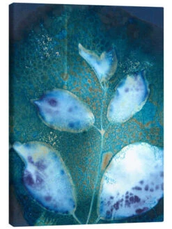 Cyanotype Leaves III Regina Moore Lærredsbillede 20 X 30 Cm Billedramme