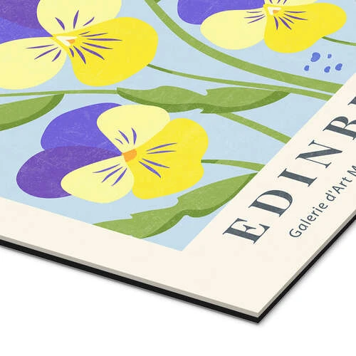 Flower Market Edinburgh Pansies TAlex Galleritryk 20 X 30 Cm Billedramme 5 Flower Market Edinburgh Pansies TAlex Galleritryk 20 X 30 Cm Billedramme - Billede 3