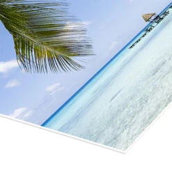 Coconut Palm On The Beach In The South Pacific Jan Christopher Becke Plakat 30 X 30 Cm Billedramme -POSTERLOUNGE Salg 745327 poster empCorner l