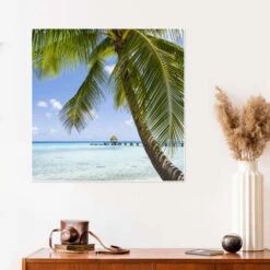 Coconut Palm On The Beach In The South Pacific Jan Christopher Becke Plakat 30 X 30 Cm Billedramme -POSTERLOUNGE Salg 745327 poster room photography l