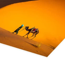 Tuareg Man With Camel, Morocco Matteo Colombo Plakat 30 X 20 Cm Billedramme -POSTERLOUNGE Salg 745585 poster empCorner l