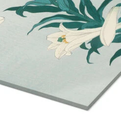 Lilies, Ca. 1900 Ohara Koson Akrylbillede 20 X 30 Cm Billedramme -POSTERLOUNGE Salg 746233 acrylic glass empCorner l