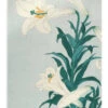 Lilies, Ca. 1900 Ohara Koson Akrylbillede 20 X 30 Cm Billedramme 1 Lilies, Ca. 1900 Ohara Koson Akrylbillede 20 X 30 Cm Billedramme -POSTERLOUNGE Salg 746233 acrylic glass l