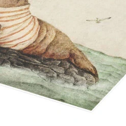 Sailor Walrus Mike Koubou Plakat 40 X 30 Cm Billedramme 8 Sailor Walrus Mike Koubou Plakat 40 X 30 Cm Billedramme -POSTERLOUNGE Salg 746506 poster empCorner l