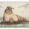 Sailor Walrus Mike Koubou Plakat 40 X 30 Cm Billedramme