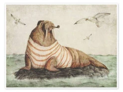 Sailor Walrus Mike Koubou Plakat 40 X 30 Cm Billedramme
