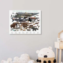 Size Comparison In The Animal Kingdom Galleritryk 30 X 20 Cm Billedramme -POSTERLOUNGE Salg 746795 gallery print room boys room l