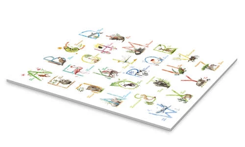 Colourful ABC With Animals (German) Nadine Conrad Akrylbillede 20 X 30 Cm Billedramme 4 Colourful ABC With Animals (German) Nadine Conrad Akrylbillede 20 X 30 Cm Billedramme - Billede 2