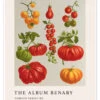 The Album Benary - Tomato Varieties Ernst Benary Plakat 30 X 40 Cm Billedramme