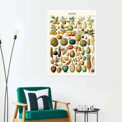 Illustration Of Fruits, 1923 Adolphe Millot Plakat 30 X 40 Cm Billedramme -POSTERLOUNGE Salg 748454 poster room illustrations l
