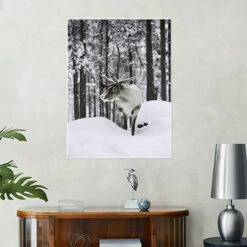 Reindeer In The Snowy Forest Articstudios Plakat 30 X 40 Cm Billedramme -POSTERLOUNGE Salg 750226 poster room photography l