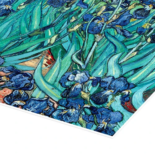 Irises, 1889 Vincent Van Gogh Plakat 40 X 30 Cm Billedramme 5 Irises, 1889 Vincent Van Gogh Plakat 40 X 30 Cm Billedramme - Billede 3