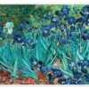 Irises, 1889 Vincent Van Gogh Plakat 40 X 30 Cm Billedramme 1 Irises, 1889 Vincent Van Gogh Plakat 40 X 30 Cm Billedramme -POSTERLOUNGE Salg 750912 poster l