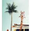 Surfer Giraffe Kidz Collection Galleritryk 20 X 30 Cm Billedramme -POSTERLOUNGE Salg 751557 gallery print l