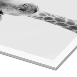 Giraffe II Animal Kids Collection Akrylbillede 20 X 30 Cm Billedramme -POSTERLOUNGE Salg 751661 acrylic glass empCorner l