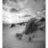Dune Landscape At The North Sea Jan Christopher Becke Plakat 20 X 30 Cm Billedramme -POSTERLOUNGE Salg 753209 poster l
