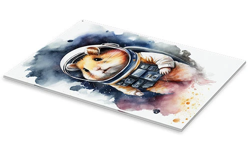 Space Hamster Dreamscapes Akrylbillede 20 X 30 Cm Billedramme 4 Space Hamster Dreamscapes Akrylbillede 20 X 30 Cm Billedramme - Billede 2