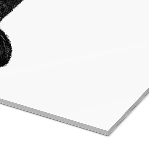 Black Cat III Valeriya Korenkova Akrylbillede 20 X 30 Cm Billedramme 5 Black Cat III Valeriya Korenkova Akrylbillede 20 X 30 Cm Billedramme - Billede 3