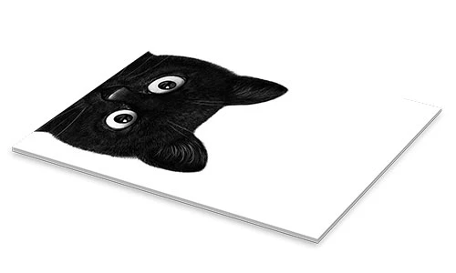 Black Cat III Valeriya Korenkova Akrylbillede 20 X 30 Cm Billedramme 4 Black Cat III Valeriya Korenkova Akrylbillede 20 X 30 Cm Billedramme - Billede 2