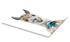 Llama Latte Holly Simental Akrylbillede 20 X 30 Cm Billedramme -POSTERLOUNGE Salg 756338 acrylic glass pds l